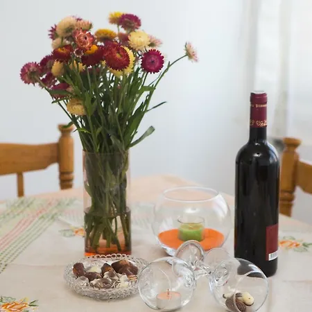 Star 아파트 스플리트